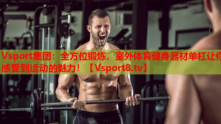 Vsport集團(tuán)：全方位鍛煉，室外體育健身器材單杠讓你感受到運(yùn)動的魅力！