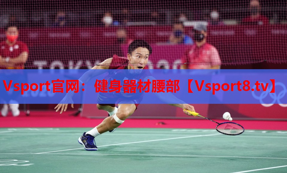 <strong>Vsport官網(wǎng)：健身器材腰部</strong>