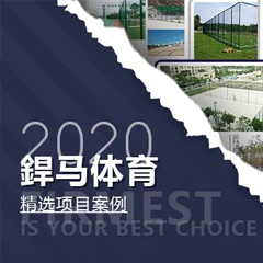 【回顧】2020年體育全年精選項目案例！